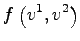 $\displaystyle f\left(v^1,v^2\right)$