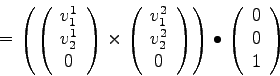 \begin{displaymath}=
\left(
\left(
\begin{array}{c}
v_1^1 \\
v_2^1 \\
0
\end{a...
...bullet
\left(
\begin{array}{c}
0 \\
0 \\
1
\end{array}\right)\end{displaymath}